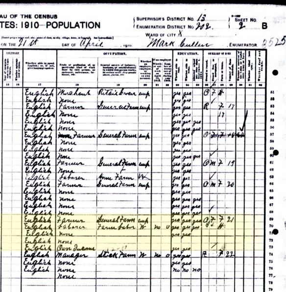 1910 census wildorado ATCb