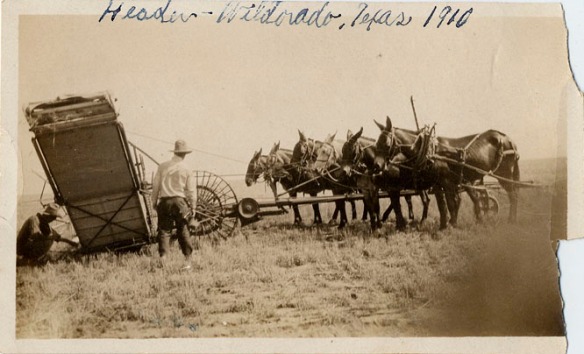 1910 header Wildorado TX