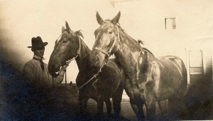 1910 man with 2 horses