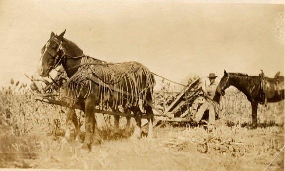 1910 nicholson horse implement