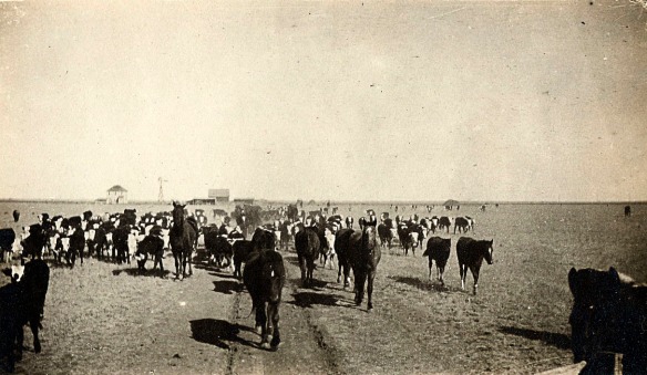 1910 Wildorado TX ranch